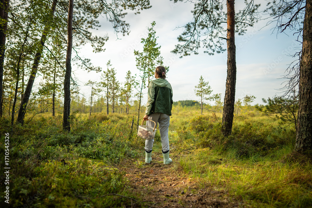 Fototapeta premium Woman hiker with backpack carrying basket on mushroom hunt walking alone along pine forest trail, reaching sunny edge lawn. Forest foraging, outdoor adventure, fungi picking, nature appreciation hobby