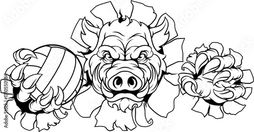 A boar razorback hog volleyball animal sports mascot holding a volley ball in his claw