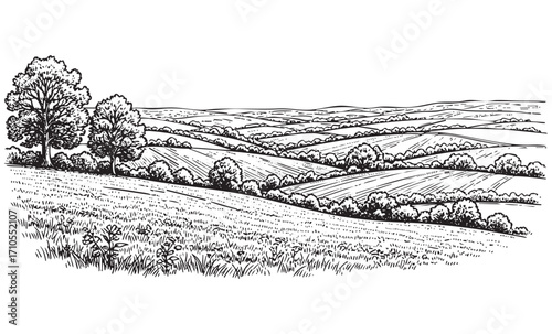  Rural Farm Landscape with House Hand-Drawn Sketch