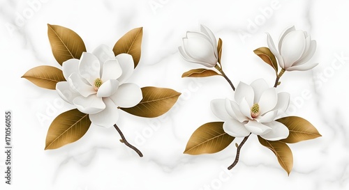 Close-up of two branches of white magnolia flowers with brown leaves against a marble background.