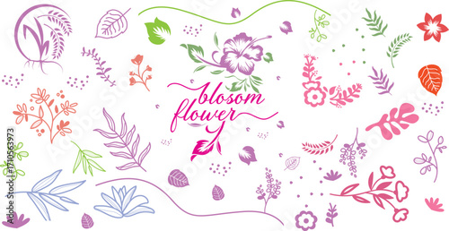 Flowers and Leaves Design Elements
