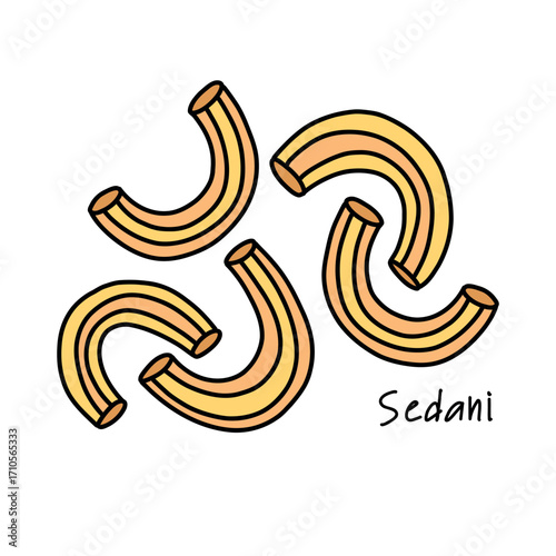 Curved organic sedani pasta for baking, doodle illustration of macarons
