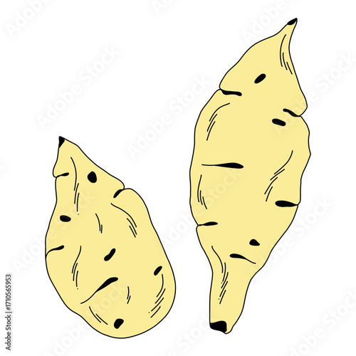 Collection of yellow raw sweet potato, whole potatoes on white background