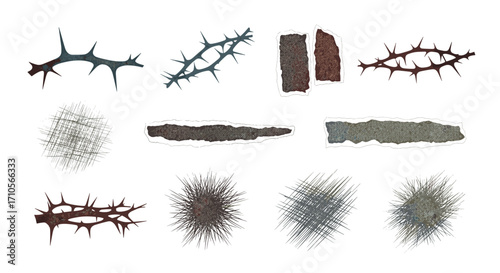 A collection of thorns, paper scraps and crosshatch patterns on white