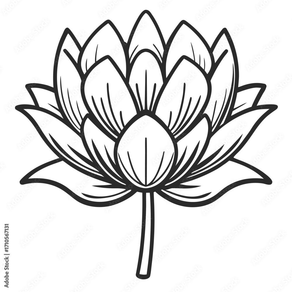 Fototapeta premium Black and white line drawing of a lotus flower on a white background bloom blossom