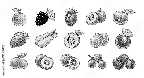 Illustration of various fruits including plums, berries and kiwis drawn