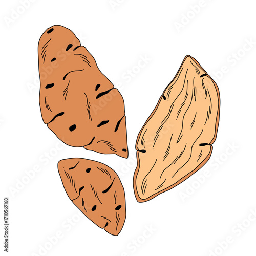 A set of raw sweet potatoes with orange skin and flesh in a cross section
