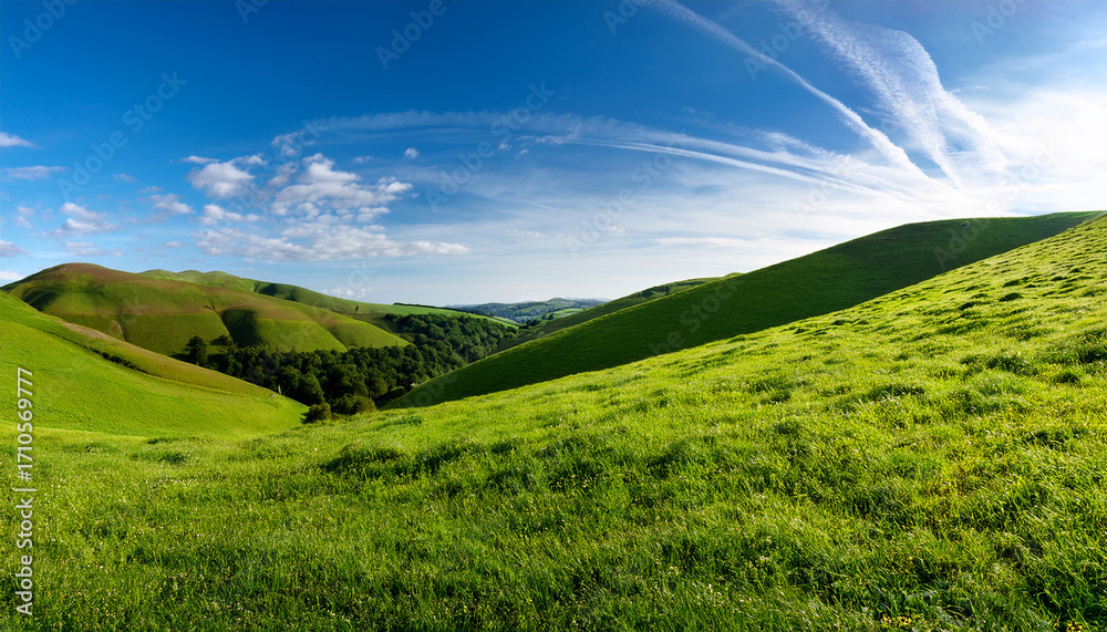 Fototapeta premium Rolling Green Hills Landscape With Lush Grass Meadows Under Bright Sky Creating Pastoral Scene Isolated On A Transparent Background