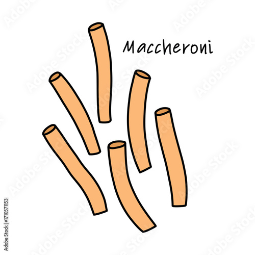 Thin curved tubes of Italian pasta Maccheroni for thick vegetable and meat sauces in doodle on white