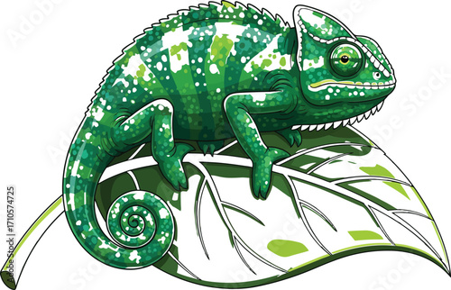 chameleon on a white background