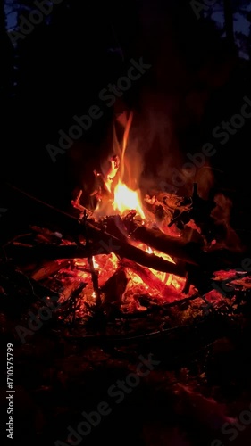A bonfire burns at night in the forest. A bright flame of fire.