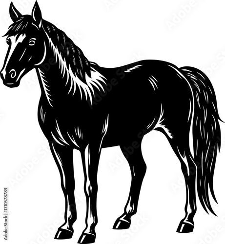black horse vector illustration