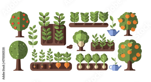 Collection of Garden Plants and Fruit Trees Illustration.