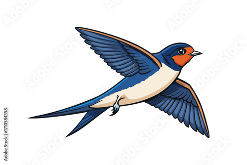 blue bird isolated on white background