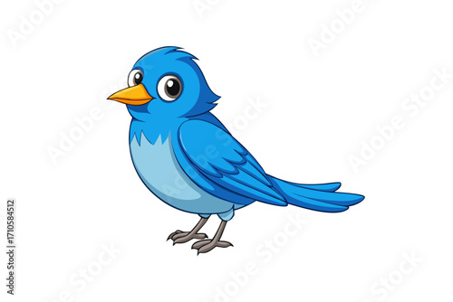blue bird sitting on branch