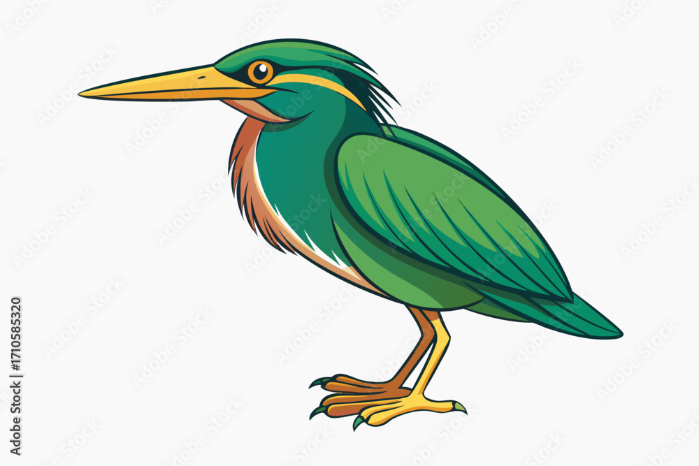 Obraz premium blue heron isolated on white