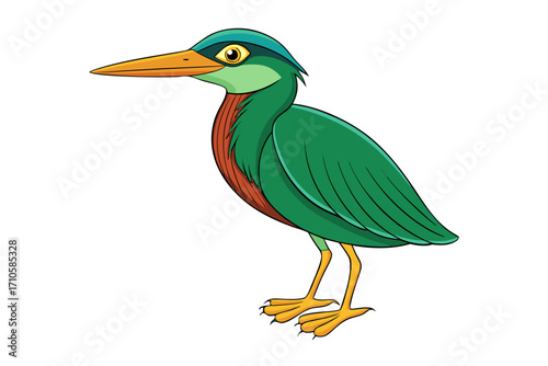 vector illustration of a cartoon bird
