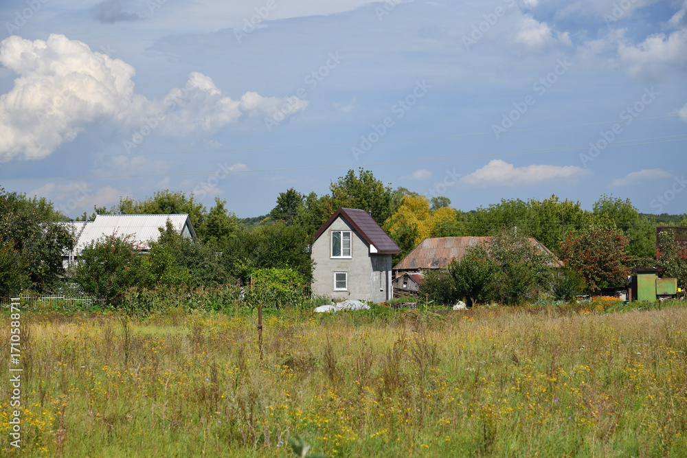 Fototapeta premium typical village landscape in Lipetsk region of Russia