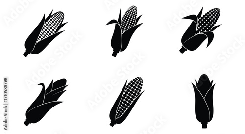Black and white illustration of various corn cob shapes and husk details