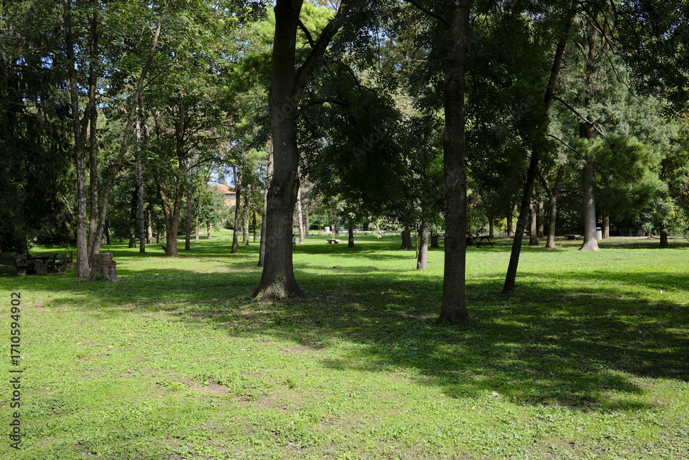 Fototapeta premium Parco cittadino in settembre