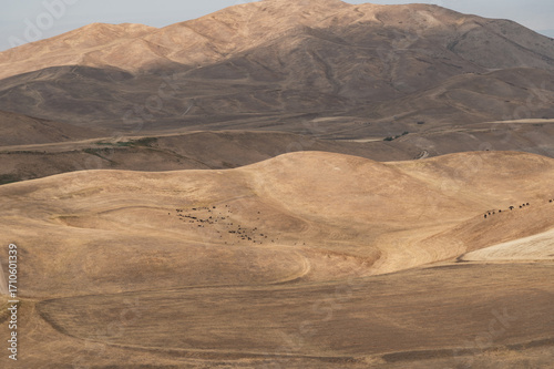 Bizarre hilly formations in Kyrgyzstan in autumn. Natural background of the earth's surface. Cattle graze on the hills.