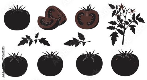 Stylized illustration of tomatoes sliced and whole with leaves and stems