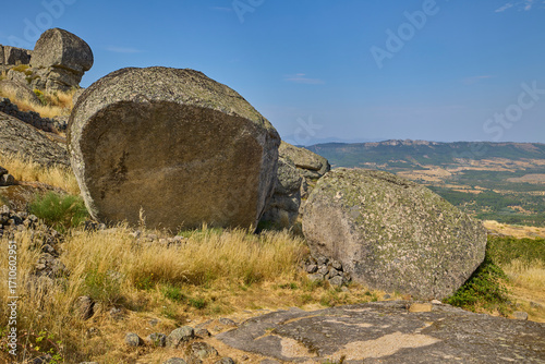 Podobny obraz
