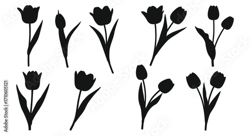 Elegant black silhouettes of tulips in varying arrangements and perspectives