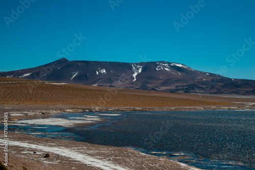 Laguna Negra in the Atacama Desert, Chile