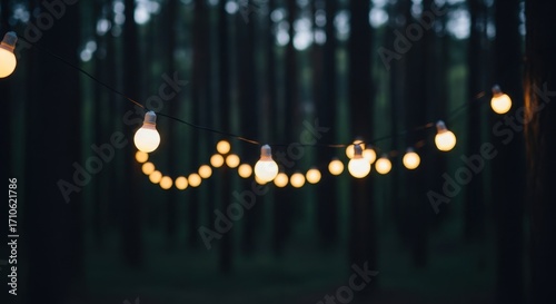 Magical string lights illuminating a dark forest scene at twilight