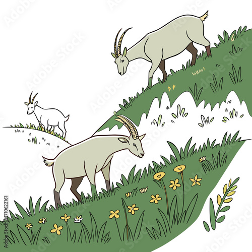 Three ibex goats grazing on a lush green mountain slope with yellow wildflowers blooming