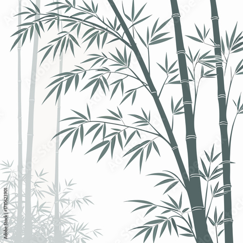 Elegant dark green bamboo stalks with delicate leaves against a soft white background creating a serene natural scene