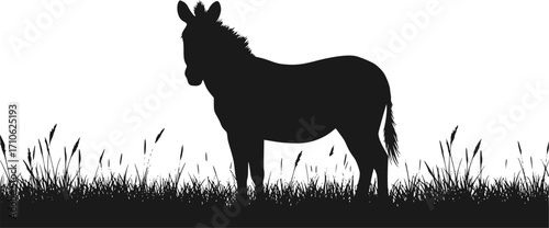 silhouette of zebra illustration vector isolated on white background zebra standing in open field 