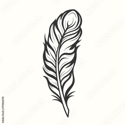 Beautiful line art showcases a vintage style feather with detailed barbs on white backdrop