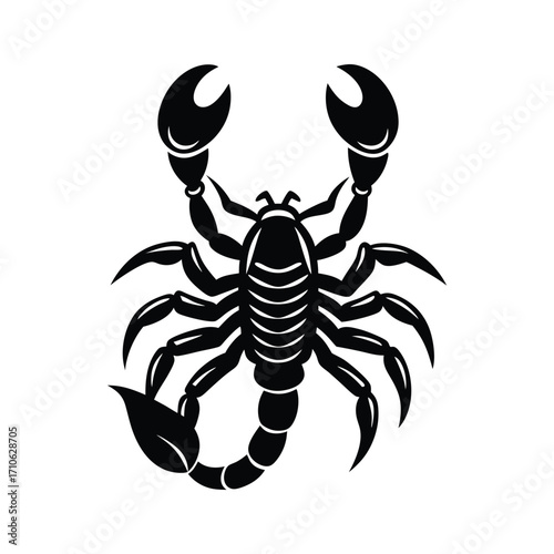 Scorpion mascot tattoo style desert stinger fierce vector art illustration
