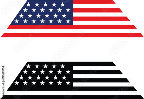 unique usa flag