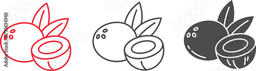 Coconut vector icon set tropical fruit outline and solid fill