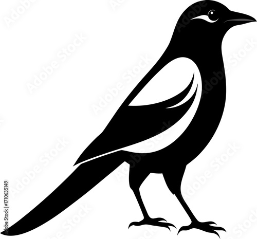 Magpie silhouette icon vector on white  background 