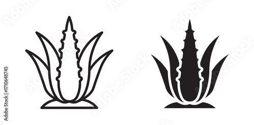 Aloe vera icon set, vector illustration . 