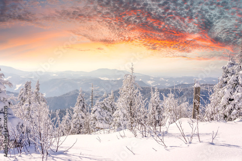 Zauberhafte Winterlandschaft auf dem Schliffkopf, Schwarzwald 