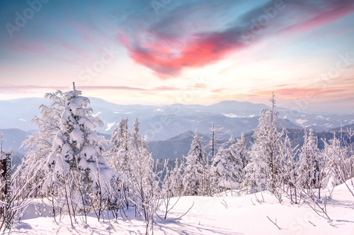 Zauberhafte Winterlandschaft auf dem Schliffkopf, Schwarzwald 