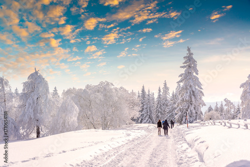 Zauberhafte Winterlandschaft auf dem Schliffkopf, Schwarzwald 