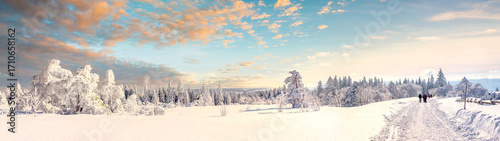 Zauberhafte Winterlandschaft auf dem Schliffkopf, Schwarzwald 