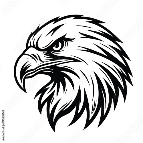 Detailed black eagle head displays prominent features over white backdrop for various uses