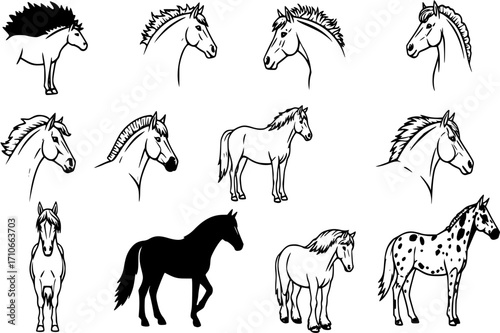 Vector Horse icons set.
