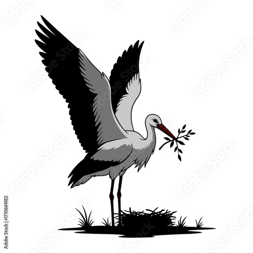 stork 