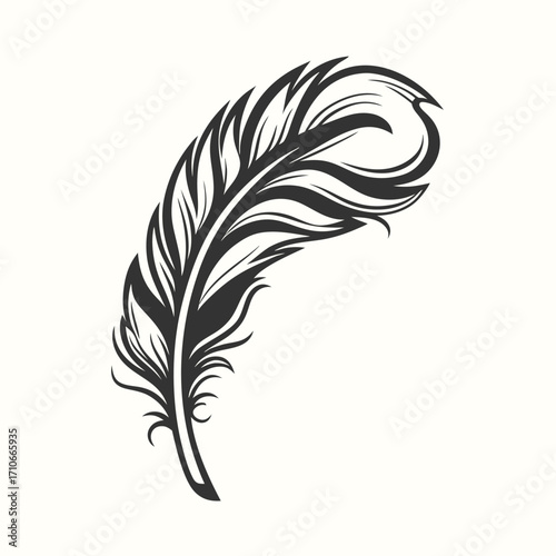 Detailed feather in monochromatic black curves upward against an off white background gracefully