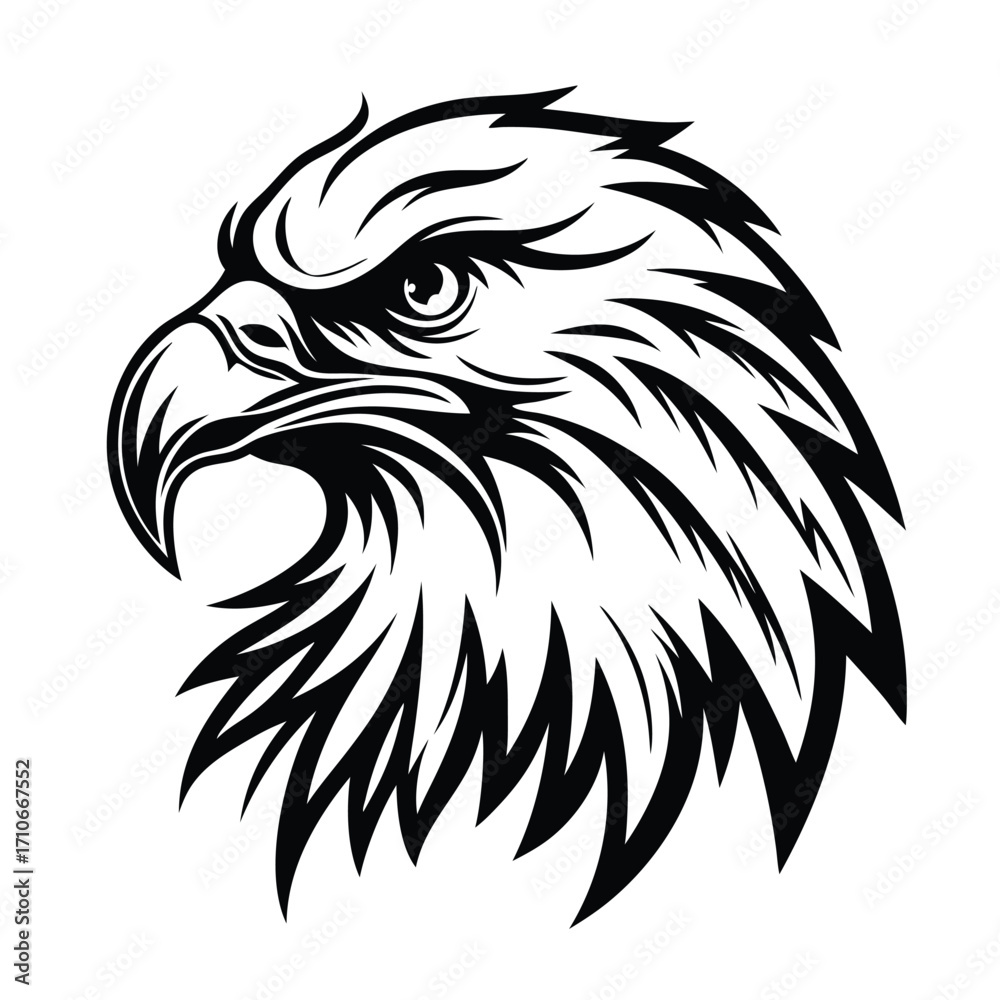 Obraz premium Detailed monochrome showing the head and neck of an eagle with sharp feathers