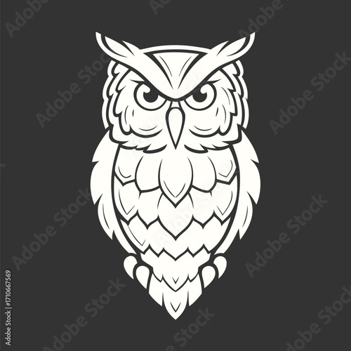 Detailed owl facing forward displays symmetrical feathered patterns against a plain background beautifully