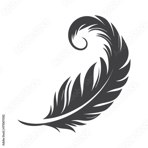 Elegant dark gray feather curves beautifully against a clean white backdrop creating a striking contrast